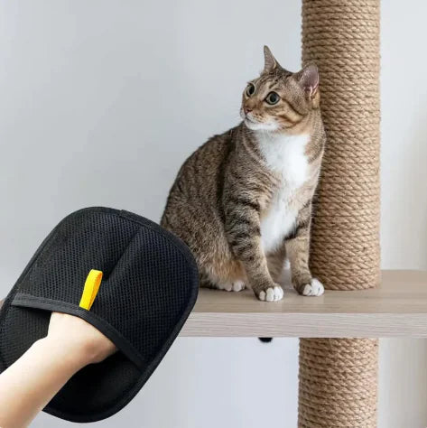 Pet Hair Removal Gloves – Grooming & Cleaning Tool for Dogs & Cats