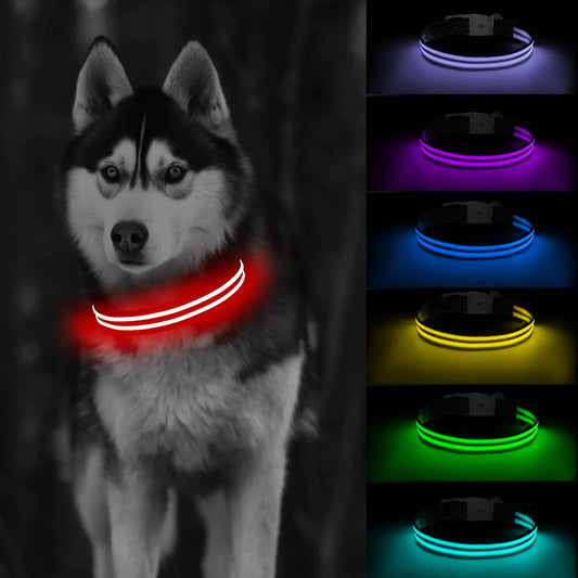 USB Rechargeable LED Dog Collar – Waterproof Safety Light for Night Walks