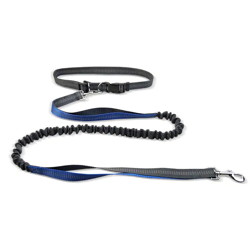 Dog Walking Belt with Detachable Shockproof Leash
